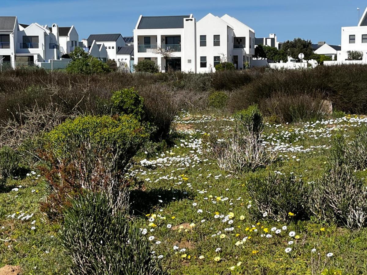 Clam Lagoon Langebaan Kültér fotó