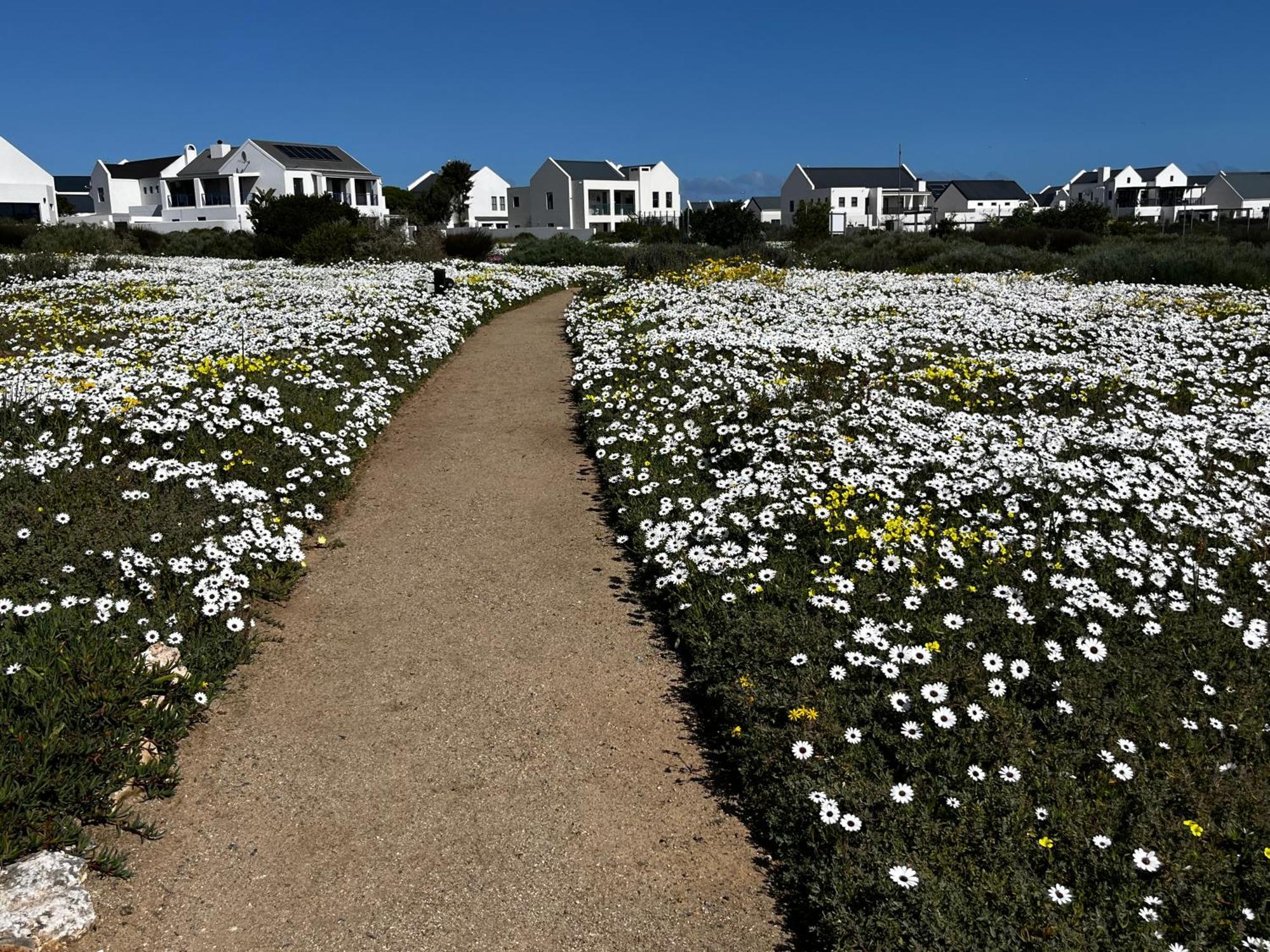 Clam Lagoon Langebaan Kültér fotó